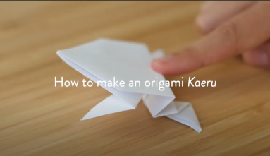 JANM Videos Origami Frog